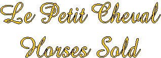 Welcome to
Le Petit Cheval!