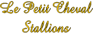 Welcome to
Le Petit Cheval!